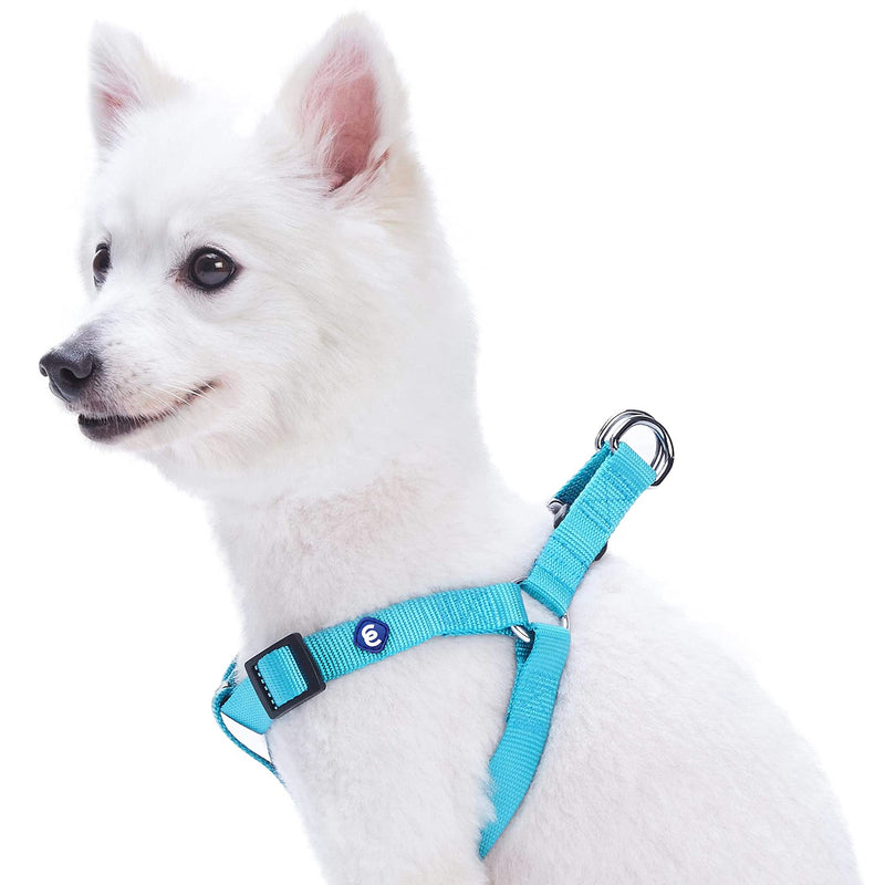 Blueberry Pet Essentials Matching Small Dog Harness | Adjustable Classic Solid Nylon No Pull Harness for Dogs | Easy Walk Dog Harness for Small Dogs & Step in Dog Harness | Turquoise Dog Harness (16.5" - 21.5") Chest Girth (Pack of 1) - PawsPlanet Australia