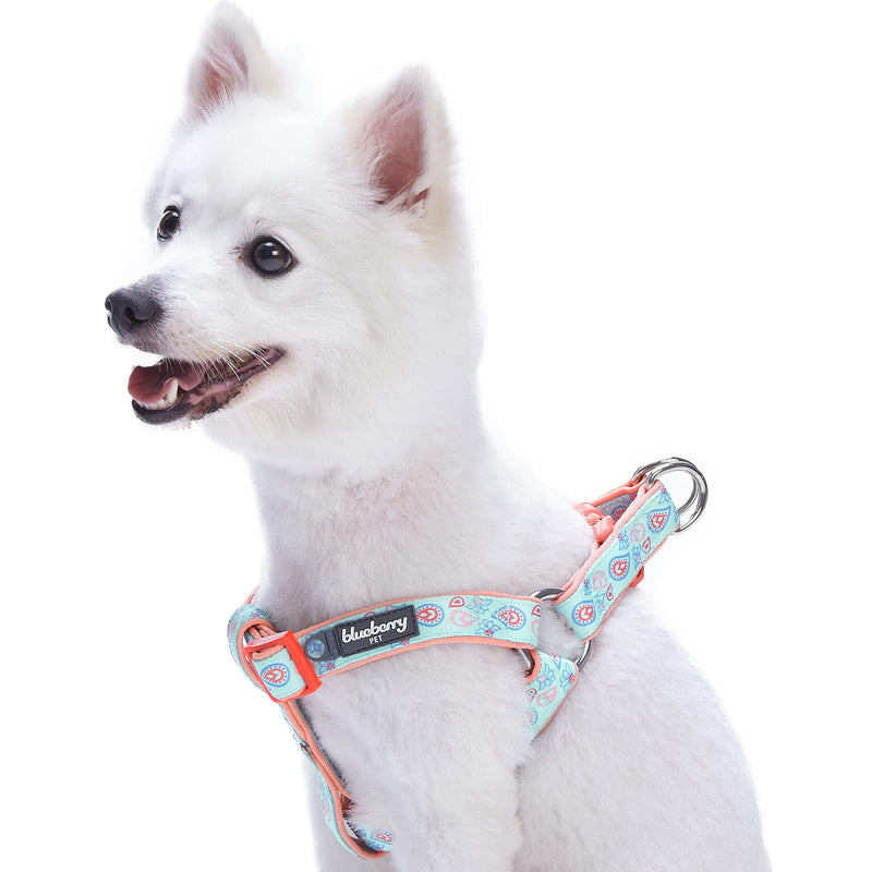 Blueberry Pet 5 Colors Soft & Comfy Step-in Paisley Flower Print Dog Harness, Chest Girth 16.5" - 21.5", Pastel Blue, Small, Adjustable Harnesses for Dogs Small (16.5" - 21.5") Chest Girth - PawsPlanet Australia