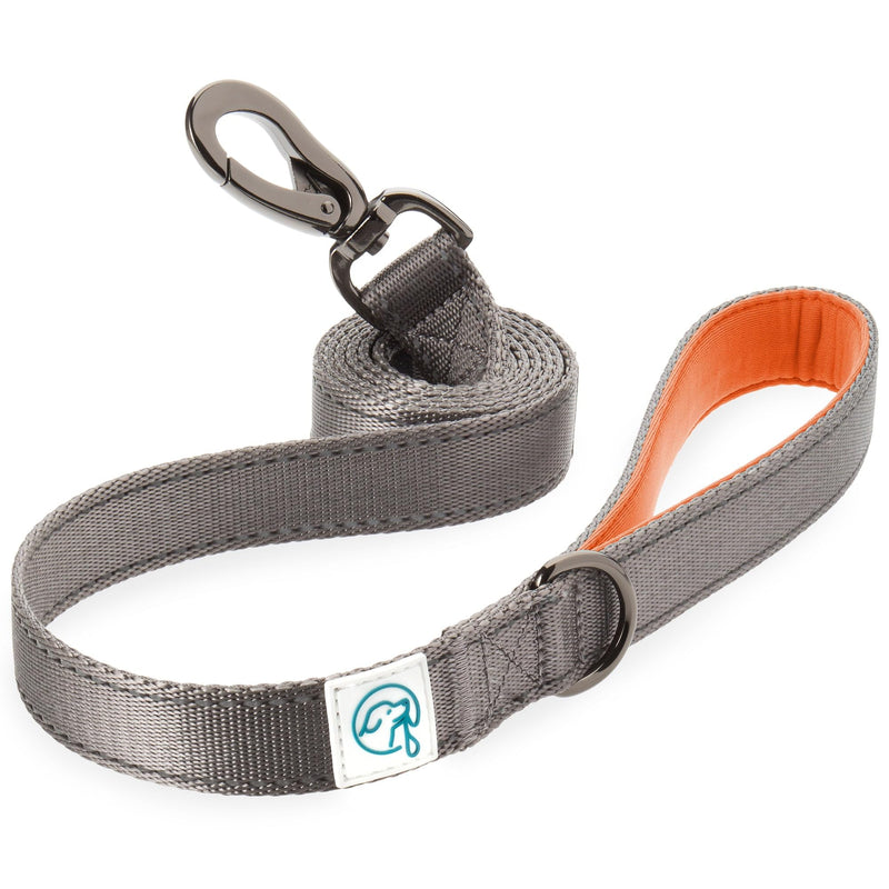 Embark Adventure Dog Leashes - Colorful, Strong Nylon Leashes for Small, Medium & Large Dogs, Heavy Duty Black Leash Orange - PawsPlanet Australia