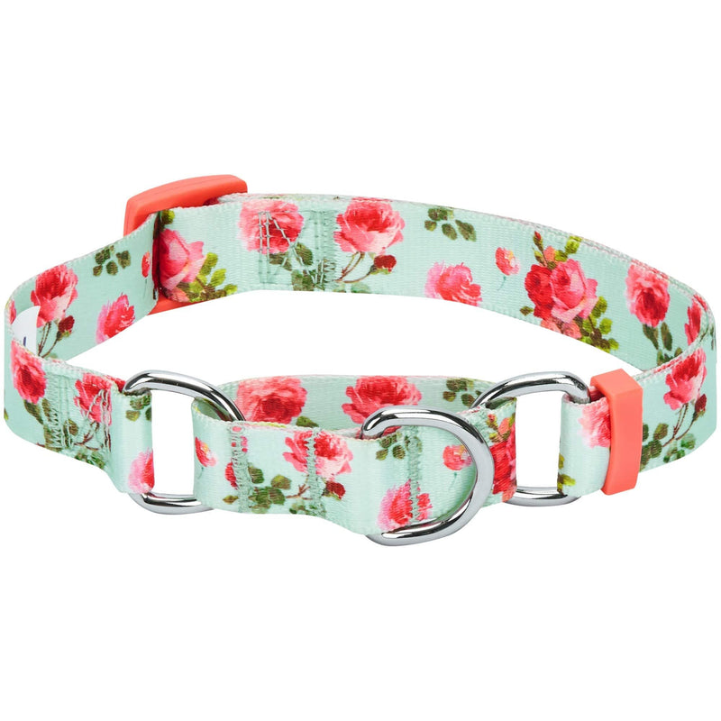 Blueberry Pet Spring Scent Inspired Rose Print Martingale Safety Training Dog Collar, Turquoise, Small, Heavy Duty Adjustable Collars for Dogs - PawsPlanet Australia