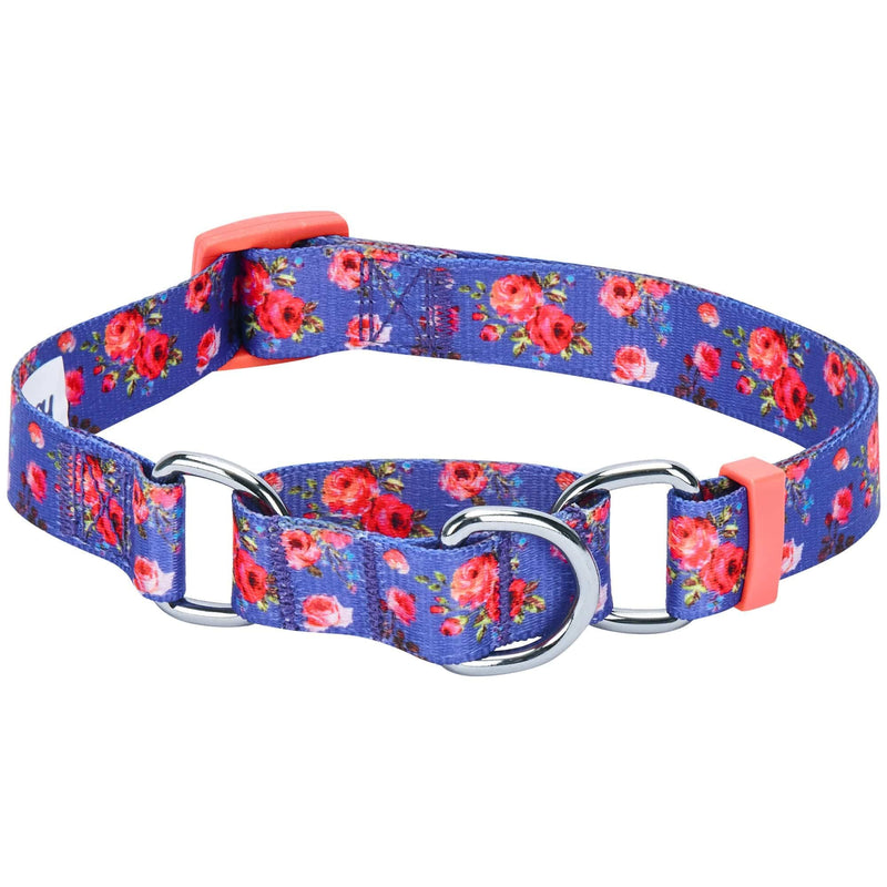 Blueberry Pet Spring Scent Inspired Rose Print Martingale Safety Training Dog Collar, Irish Blue, Large, Heavy Duty Adjustable Collars for Dogs - PawsPlanet Australia