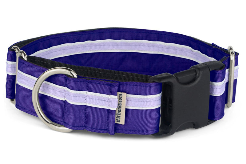 If It Barks - 1.5" Martingale Collar for Dogs - Quick Snap Release Buckle - Adjustable - Nylon - Strong and Comfy - Ideal for Training - Made in USA - Medium, Grape Crush Medium w/Buckle - PawsPlanet Australia