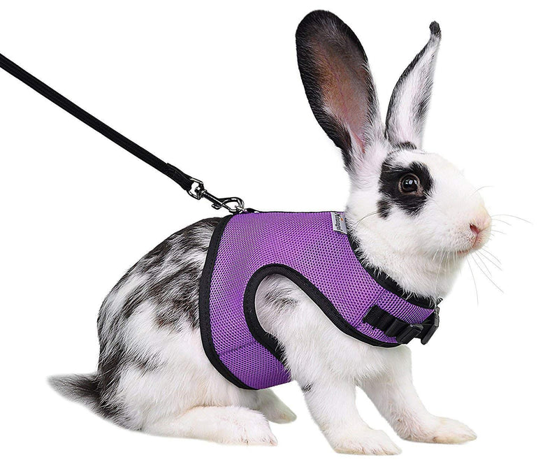 Niteangel Adjustable Soft Harness with Elastic Leash for Rabbits (M, Purple) M - PawsPlanet Australia
