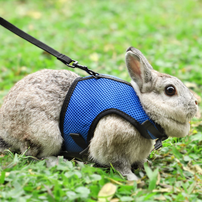 Pettom Bunny Rabbit Harness with Stretchy Leash Cute Adjustable Buckle Breathable Mesh Vest for Kitten Small Pets Walking (L(Chest:10.6-13.3 in), Blue) L(Chest:10.6-13.3 in) - PawsPlanet Australia