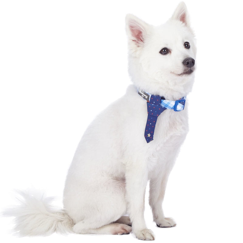 Blueberry Pet 4 Patterns Blue Hue Scottish Plaid Style Adjustable Tie Dog Collar, Medium, Neck 14.5"-20" Polka Dot Tie + Collar - PawsPlanet Australia