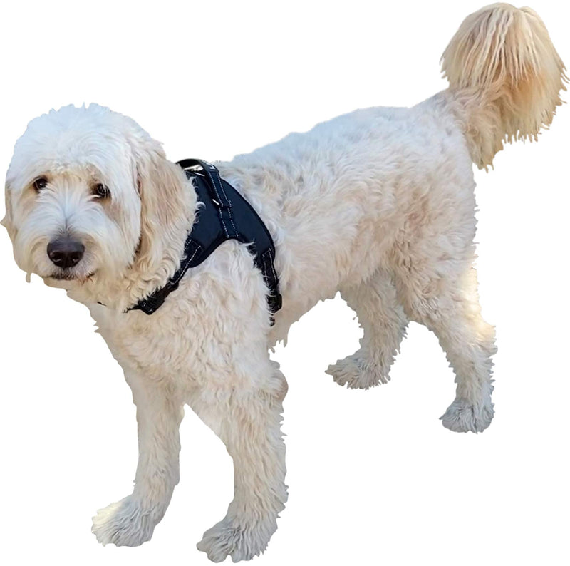 Labra Dog Canine K9 Chest Halter Harness for use with Labra Canine Knee Brace Large