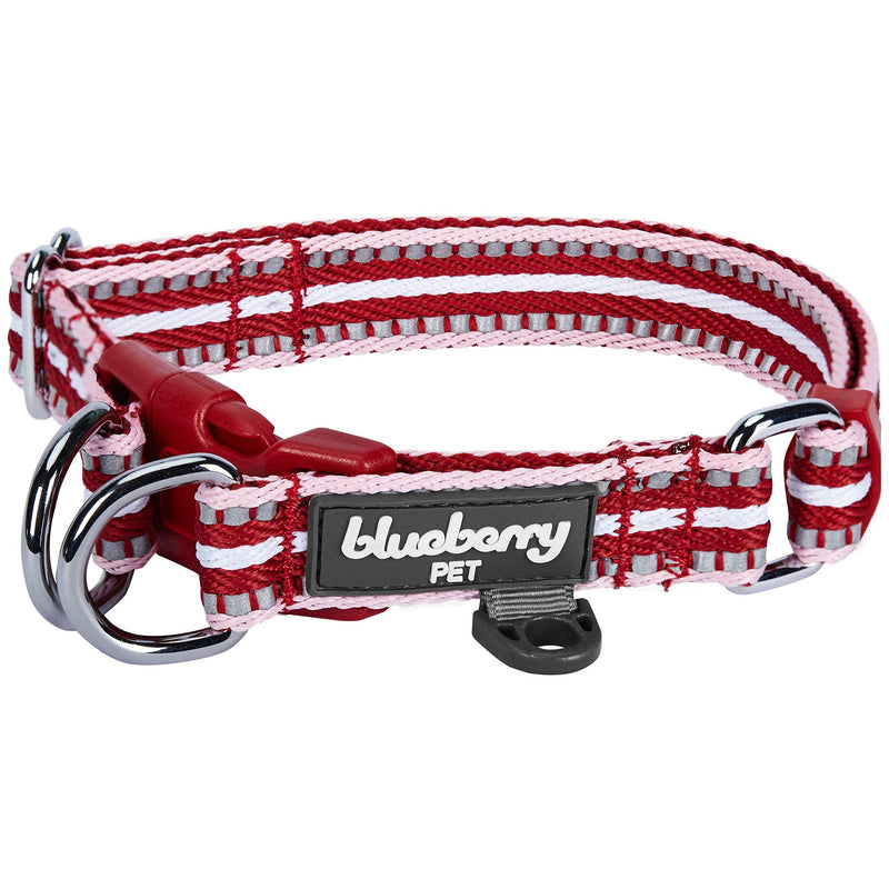 Blueberry Pet Safety Dog Collar with Dual D-Rings | 3M Reflective Multi-Colored Adjustable Collar in Marsala Red and Pink | Soft Nylon Dog Collar for Active Small Dogs - PawsPlanet Australia