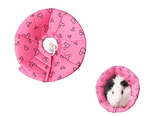 Hamster Rabbit Protection Cone Neck Recovery Collar - Small Animal Pets Elizabethan Collar Anti-Water Bite Sratch Risistant for Guinea Pig Mice Mouse Rats Ferret Squrrel (L, Pink) L - PawsPlanet Australia