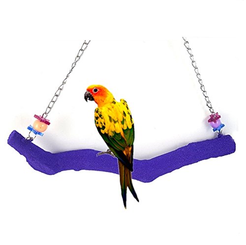 Petall Bird Parrot Swing Perch Cage Hanging Toy Scrub Wood Stand for Conures,Parakeets Cockatiels,Macaws,Finches,Love Birds S-7.9"in - PawsPlanet Australia