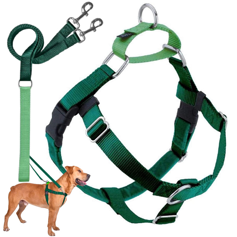 2 Hounds Design Freedom No Pull Dog Harness, Adjustable Harness and Leash Set, Easy Walking & Comfortable Control, Fits Small, Medium & Large Dogs, Solid Colors, Made in USA, 1" LG, Kelly Green LG (Chest 28" - 32") - PawsPlanet Australia