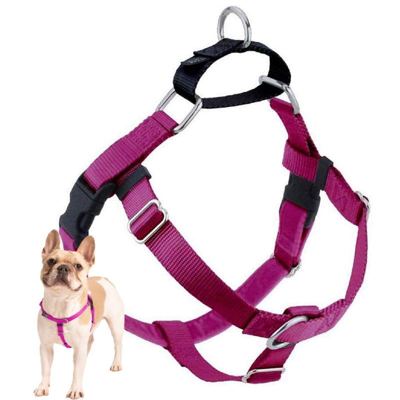 2 Hounds Design Freedom No Pull Dog Harness, Adjustable Harness, Easy Walking & Comfortable Control, Fits Small, Medium & Large Dogs, Solid Colors, Made in USA, 5/8" SM, Raspberry - PawsPlanet Australia