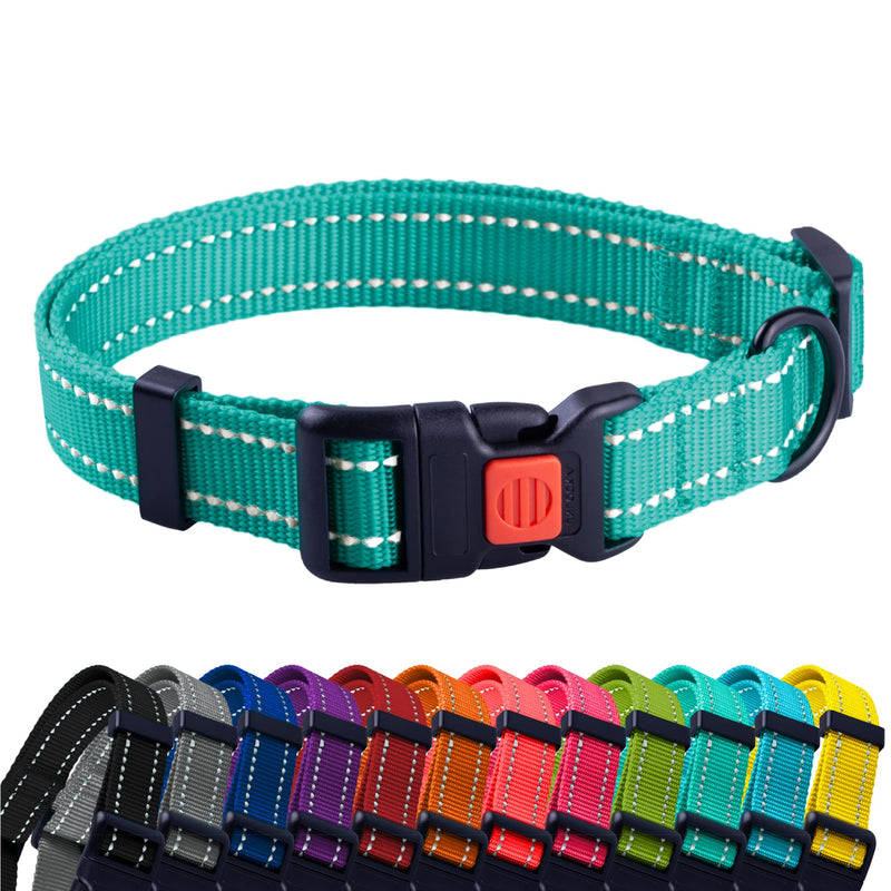 CollarDirect Reflective Dog Collar for a Small, Medium, Large Dog or Puppy with a Quick Release Buckle - Boy and Girl - 48 Options Nylon Suitable for Swimming 14-18 Inch Mint Green