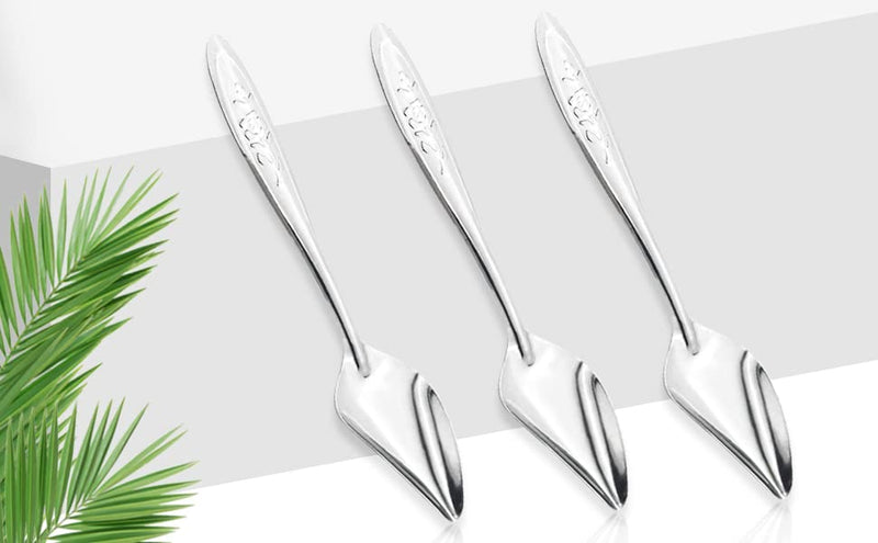 LILYS PET 4.7" Bird Parrot Stainless Steel Metal Feeding Spoon,Special Feeding Scoop Medicine Spoons Hand Feeding Spoons for Peony Cockatiel Parrot 3PCS - PawsPlanet Australia