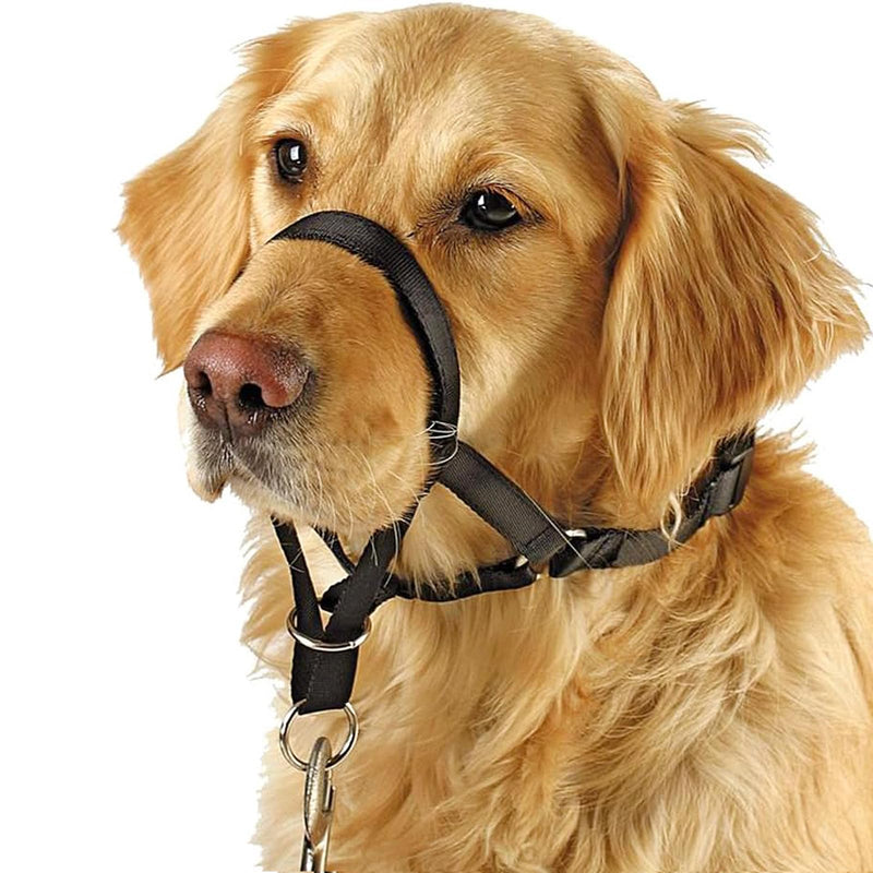 BARKLESS Soft Dog Head Collar, No Pull Training Tool for Small Medium Large Dogs on Walks, Gentle Training Collar and Control for Heavy Pullers, includes A Training Guide L Black - PawsPlanet Australia