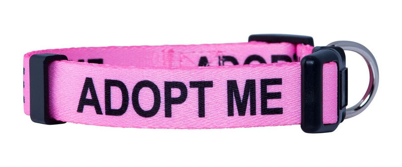 Native Pup Adopt Me Dog Collar (Small, Pink) Small - PawsPlanet Australia