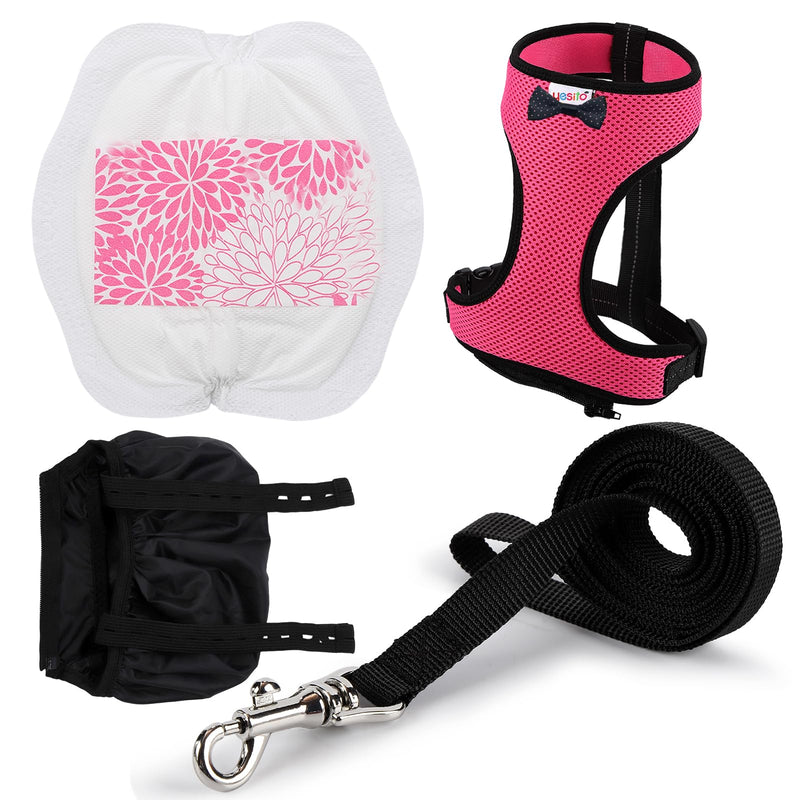 Adjustable Chicken Harness Diaper (5.4ft Leash) – Breathable & Washable Secure Training for Hens, Ducks & Chicks | Outdoor Walking & Discipline Solution (Months, Pink) Medium