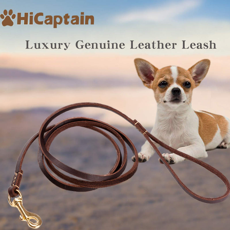 HiCaptain Thin Leather Pet Leash, Durable Dog Leashes Suit for Small Dog Up to 15 lb 00(1/5 inch Wide, 6 Ft) Brown Regular 1/5 inch Wide, 6 Feet - PawsPlanet Australia