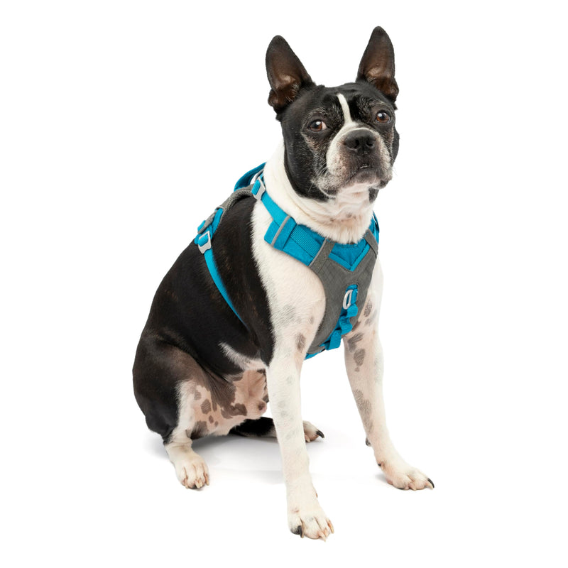 Kurgo Journey Air Dog Harness - Secure Fit for Active Dogs - Padded Chest - Lightweight Ripstop Fabric - Breathable Mesh - Reflective Trim - Back Assist Handle - Coastal Blue - Small Small (Pack of 1) - PawsPlanet Australia
