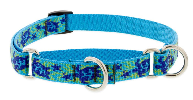 LupinePet Originals 3/4" Turtle Reef 14-20" Martingale Collar for Medium and Larger Dogs 3/4" wide martingale, adjusts 14" to 20" - PawsPlanet Australia