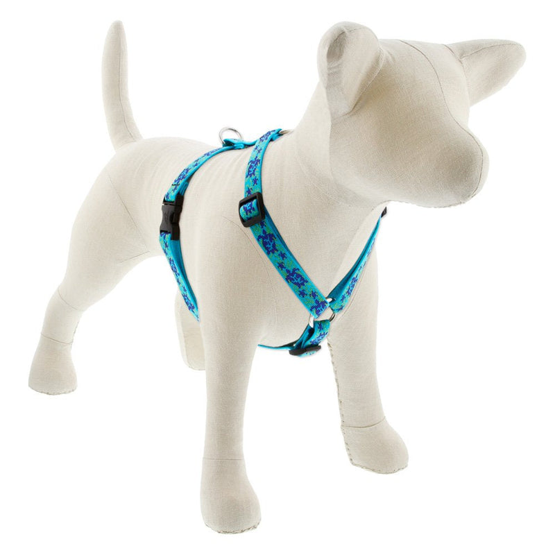 LupinePet Originals 3/4" Turtle Reef 20-32" Adjustable Roman Dog Harness for Medium Dogs 3/4" wide harness, 20" to 32" girth - PawsPlanet Australia