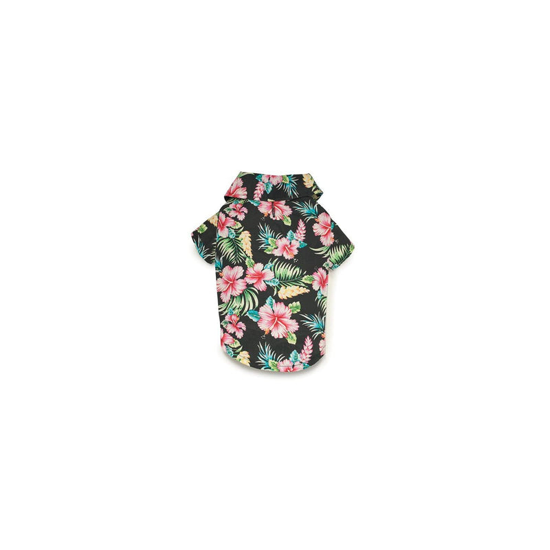 Casual Canine Hawaiian Breeze Camp Shirt for Dog, X-Large, Black XL - PawsPlanet Australia