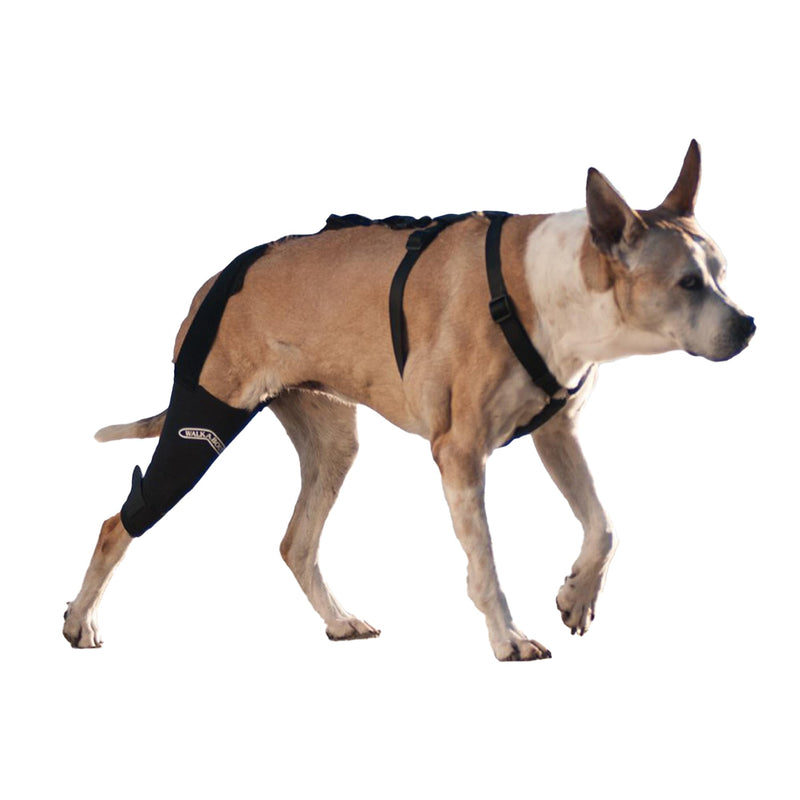 WALKABOUT Knee Brace (Small right (7-9")) Small right (7-9") - PawsPlanet Australia
