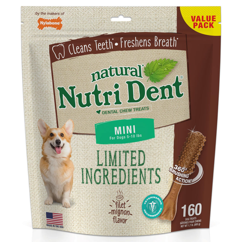 Nylabone Nutri Dent Dog Dental Chews - Natural Dog Teeth Cleaning & Breath Freshener - Dental Treats for Dogs - Filet Mignon Flavor, Mini (160 Count) 28.2 Ounce (160 Count) - PawsPlanet Australia