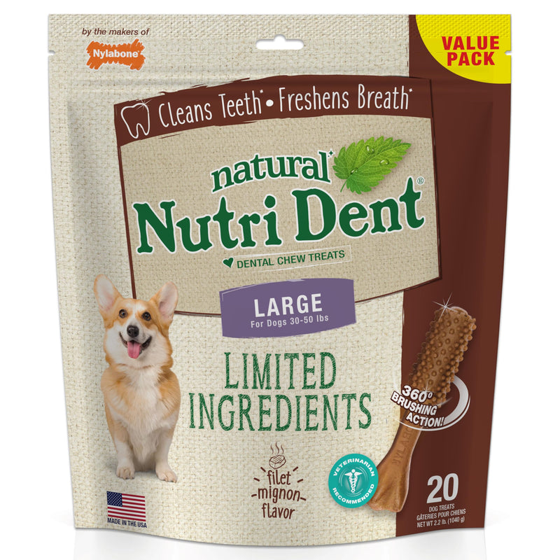 Nylabone Nutri Dent Dog Dental Chews - Natural Dog Teeth Cleaning & Breath Freshener - Dental Treats for Dogs - Filet Mignon Flavor, Large (20 Count) 20 Count (Pack of 1) - PawsPlanet Australia