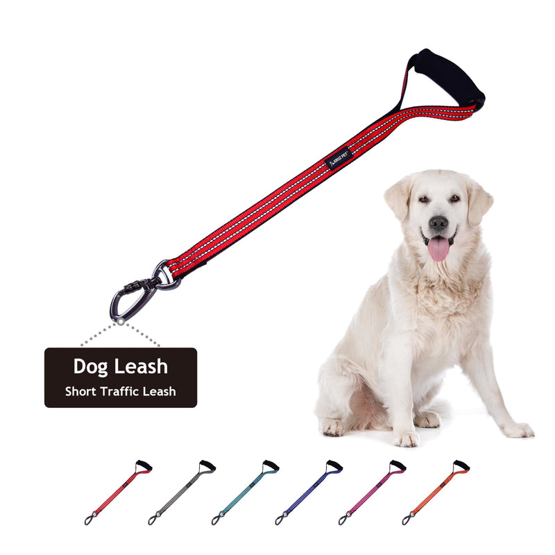 Kruz Dog Leash (Width - 1”, Length - 20 in) Reflective Rope Lead with Soft Silicone Grip, Click & Lock Snap, Durable Nylon Safety Lead with Locking Carabiner Clip & Foam Handle - Red 1" x 20" - PawsPlanet Australia
