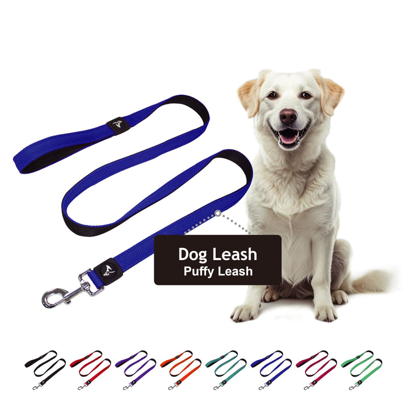 Dog Leash (Width - 1”, Length - 5 FT) | Lightweight Breathable & Tangle Free Dog Leads with Soft Silicone Grip & Lock Snap | Ideal for Walking, Training & Running | Large - Blue Large: 1" x 5 FT