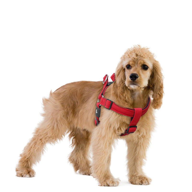 Kruz No Pull Dog Harness (Chest 21”-30”, Weight 22-53 lbs) Heavy-Duty Pet Harness for Medium Breeds, Ultra-Comfort Fit, Lifetime Durability, Adjustable Dog Harness No Pull Design (Red, Medium) Red - PawsPlanet Australia