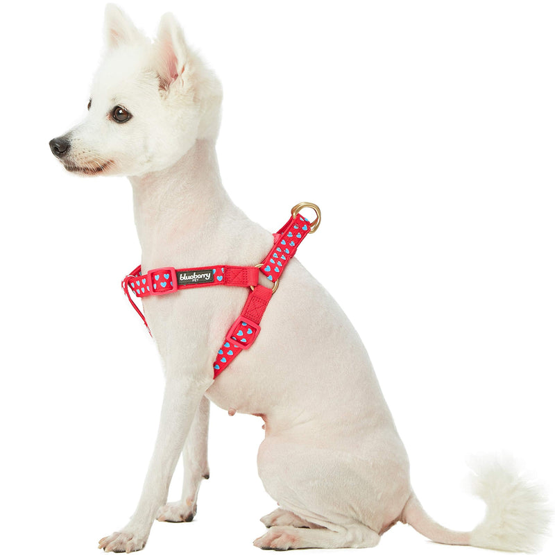 Blueberry Pet Step-in Dog Harness Velvety Heart Flocking Valentine’s Day Adjustable Harnesses for Medium Dogs, Lust Red, Chest Girth 20" - 26" Flocking Print - Lust Red - PawsPlanet Australia