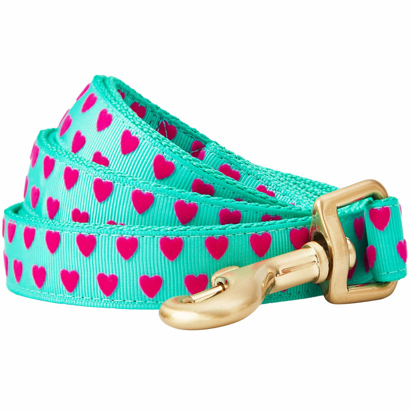 Blueberry Pet Valentine's Day Dog Leash, Velvety Soft-Touch Heart Flocking Lead for Small Dogs, Minty Green, 5 ft x 5/8" Flocking Print - Minty Green - PawsPlanet Australia