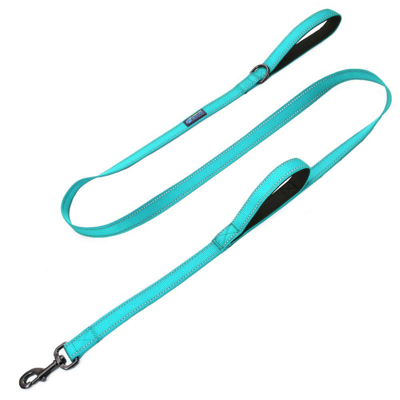 Max and Neo Double Handle Traffic Dog Leash - Reflective, Donates to Dog Rescue (Teal, 6 FT) Teal - PawsPlanet Australia