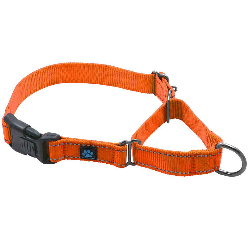 Max and Neo Nylon Martingale Collar - We Donate to a Dog Rescue for Every Collar Sold (Small, Orange) Small - PawsPlanet Australia