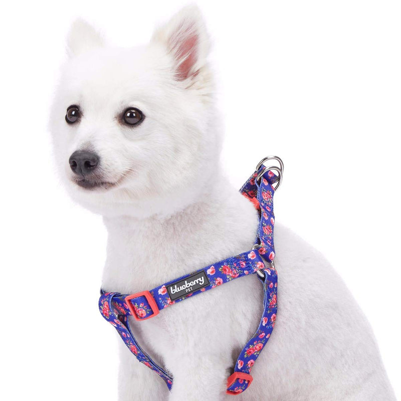 Blueberry Pet 9 Patterns Step-in Spring Scent Inspired Rose Print Irish Blue Dog Harness, Chest Girth 16.5" - 21.5", Small, Adjustable Harnesses for Dogs - PawsPlanet Australia