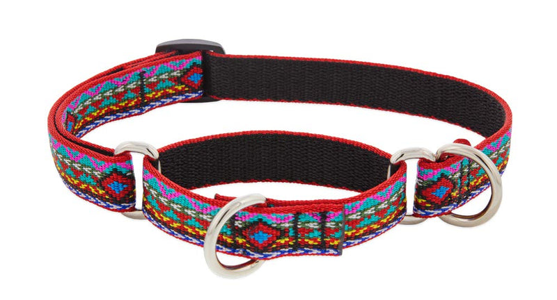 Martingale Dog Collar by Lupine 3/4" Wide El Paso Design adjusts 14" to 20" - PawsPlanet Australia
