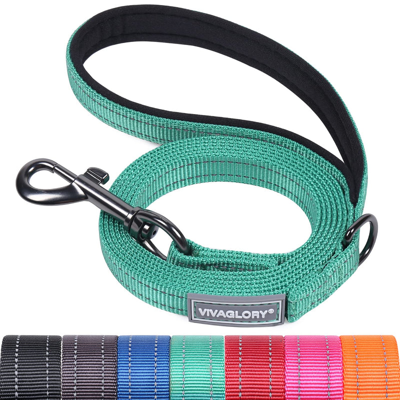 VIVAGLORY Dog Leash Dailyx Pet Leash with Soft Padded Handle for Training & Walking, Heavy Duty & Double Layer Nylon for Pet Puppy, 5ft x 1/2in, Green Leash (5 ft. x 1/2 in.)