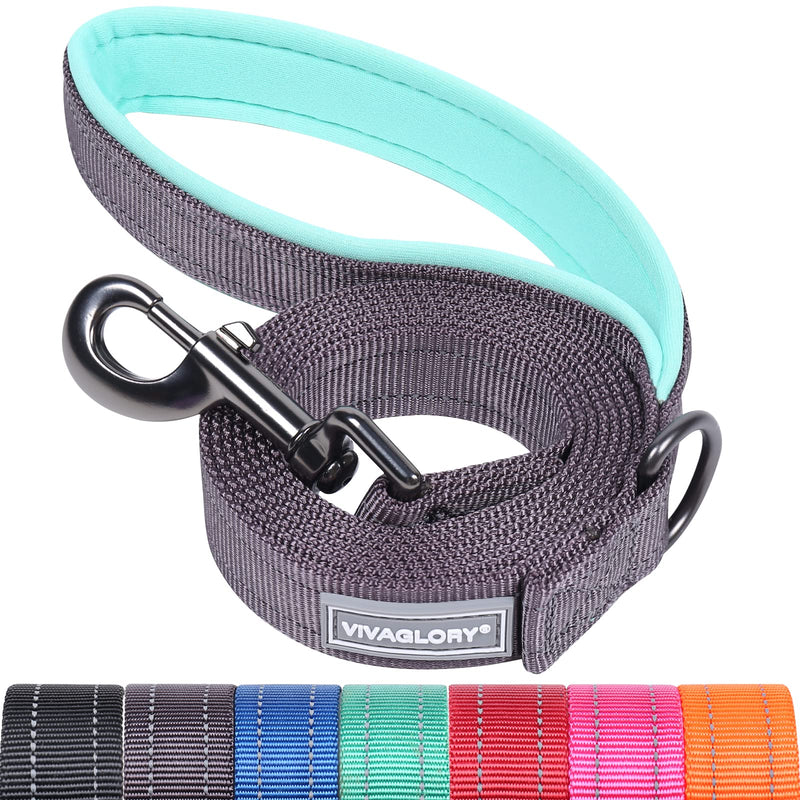 VIVAGLORY Dailyx Dog Leash, Puppy Leash for Training & Walking with Soft Padded Handle, Heavy Duty & Double Layer Nylon for Pet Puppy, 5ft x 1in, Grey Leash (5 ft. x 1 in.) - PawsPlanet Australia