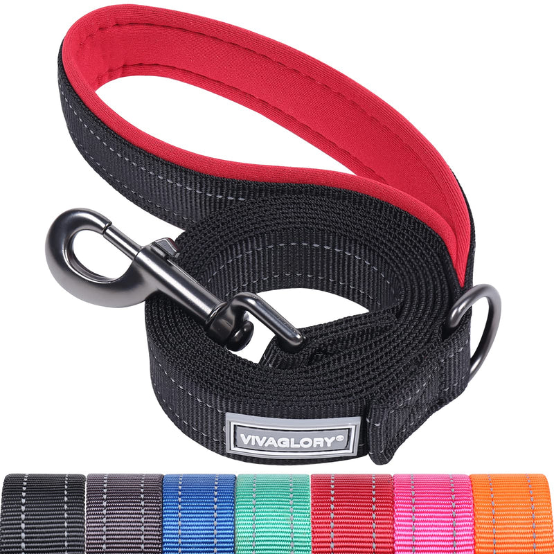 VIVAGLORY Dailyx Dog Leash, Puppy Leash for Training & Walking with Soft Padded Handle, Heavy Duty & Double Layer Nylon for Pet Puppy, 5ft x 1in, Black Leash (5 ft. x 1 in.) - PawsPlanet Australia