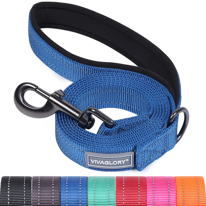 VIVAGLORY Dog Leash Dailyx Pet Leash with Soft Padded Handle for Training & Walking, Heavy Duty & Double Layer Nylon for Pet Puppy, 5ft x 1in, Blue Leash (5 ft. x 1 in.) - PawsPlanet Australia