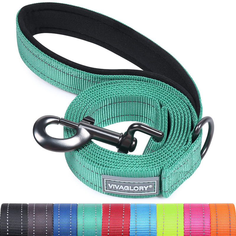 VIVAGLORY Dog Leash Dailyx Pet Leash with Soft Padded Handle for Training & Walking, Heavy Duty & Double Layer Nylon for Pet Puppy, 4ft x 1in, Green Leash (4 ft. x 1 in.) - PawsPlanet Australia