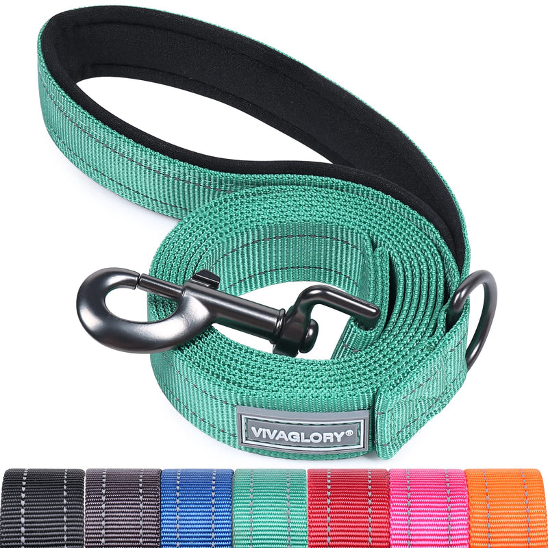 VIVAGLORY Dog Leash Dailyx Pet Leash with Soft Padded Handle for Training & Walking, Heavy Duty & Double Layer Nylon for Pet Puppy, 5ft x 1in, Green Leash (5 ft. x 1 in.)