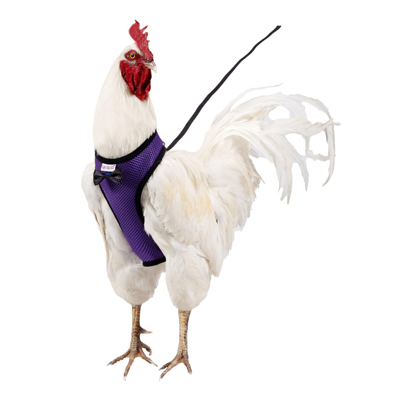 Chicken Harness Hen size With 6-foot Matching belt, Comfortable, Breathable, Small Size, Suitable for Chicken, Duck or Goose Suitable for Weight about 2.3-3.8Pounds, Orange (Small, Dark purple) - PawsPlanet Australia