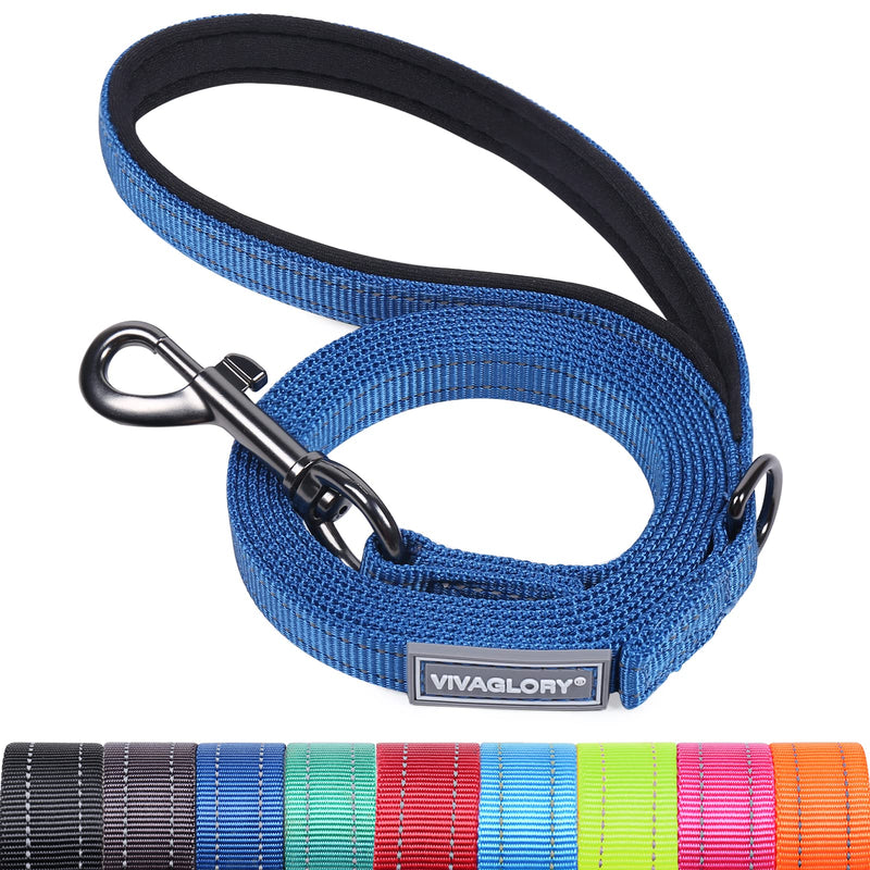 VIVAGLORY Dailyx Dog Leash, Puppy Leash for Training & Walking with Soft Padded Handle, Heavy Duty & Double Layer Nylon for Pet Puppy, 4ft x 1/2in, Blue 4 ft. x 1/2 in. (0~25 lbs.) - PawsPlanet Australia