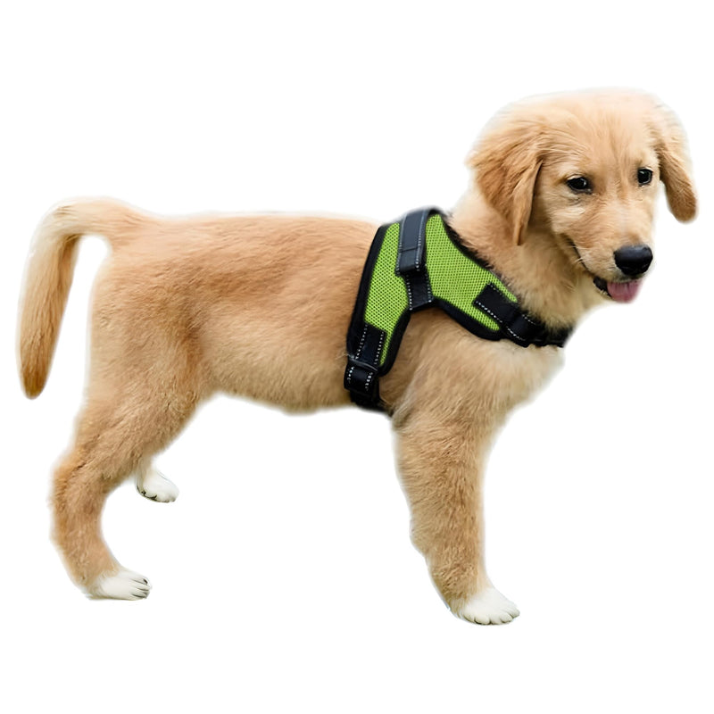 No Pull Reflective Adjustable Dog Harness with Handle- Comfortable Soft All Weather Mesh, Easy On Puppy Harness for Small Medium and Large Dogs (Green) X-Small Green - PawsPlanet Australia