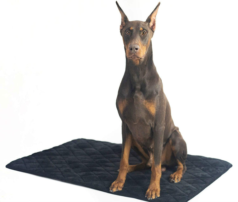4Knines Extra Large Dog Crate Mat – Waterproof, Non-Slip, Machine Washable Crate Mat – Soft, Durable Kennel Mat for Dogs – Pet Bed for Crates, Travel or Home Use - Extra Large (Black) Black XL - PawsPlanet Australia