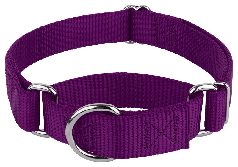Country Brook Petz - Martingale Dog Collar - Heavy-Duty Training Collar with No Buckle - Service Dog Collar for All Pups - 10+ Cool Colors (Purple, 1 Inch, Medium) Medium (Pack of 1) Purple - PawsPlanet Australia