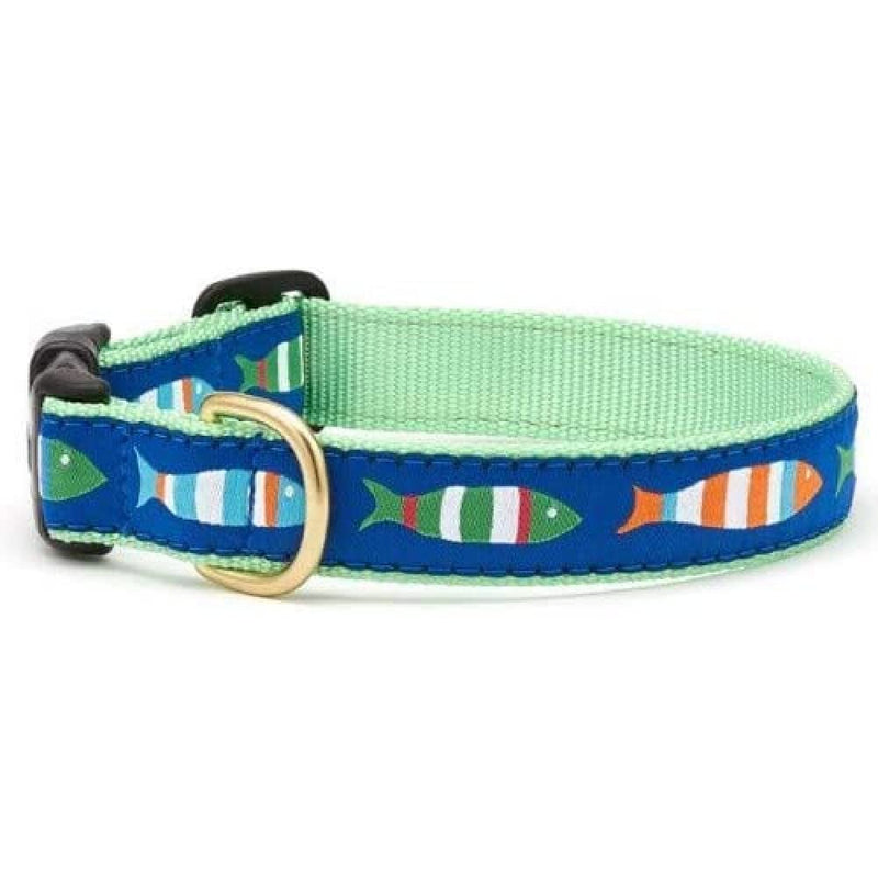 Up Country Fun-C-M Funky Fish Dog Collar M Wide (1 Inch) blue Medium 12-18” Wide 1” - PawsPlanet Australia
