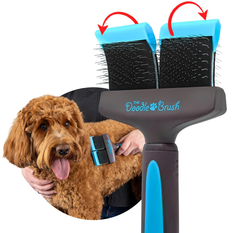 Doodle Brush for Dogs - Dog Hair Brush, Dog Brush for Poodles, Goldendoodle Brush, Bernedoodle - Flexible Head Slicker Brush for Dogs, Poodle Brush, Labradoodle Brush, Sheepadoodle - Dual Head Blue Double Head - PawsPlanet Australia